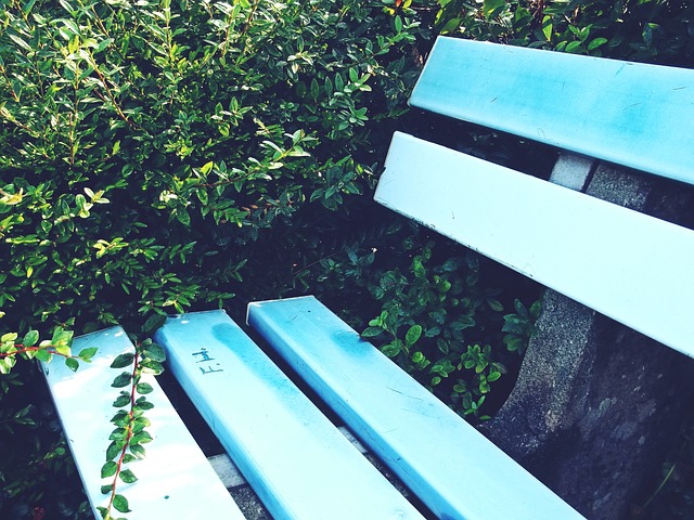 在珠海賽區 在珠海賽區