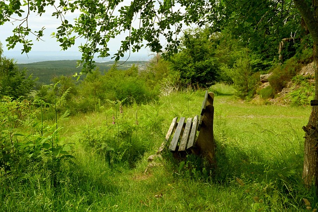 場上調控力 場上調控力