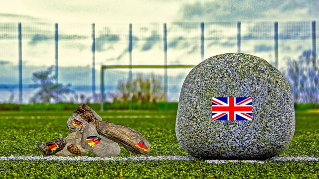 医的初步评 医的初步评