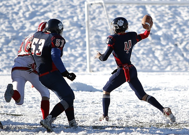 竞技状态 竞技状态